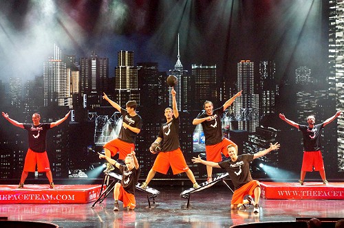 Döbörhegyi Balázs - Ügyvezető